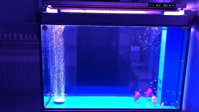 使用说说森森鱼缸怎么样，买后三个月使用谈缺点！