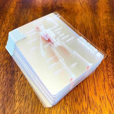 跨境新品Human Anatomy Playing Cards 趣味人体解剖学扑克牌