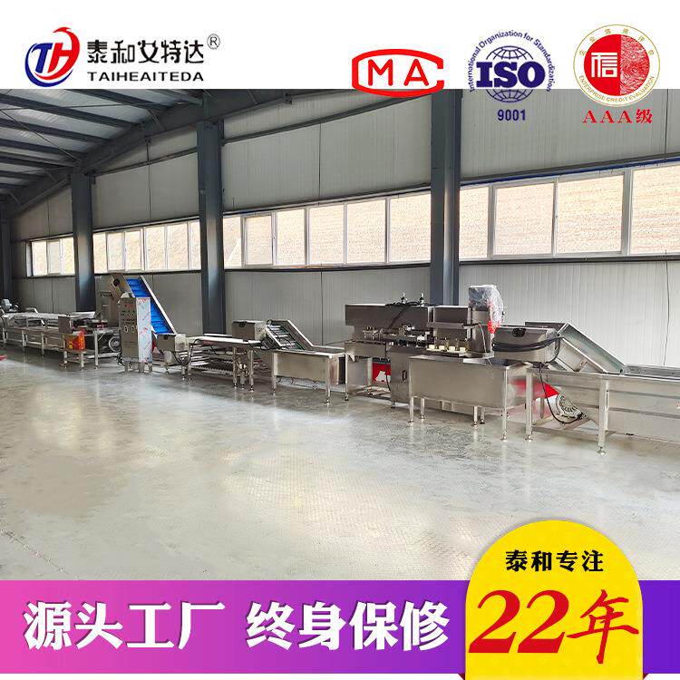 全自动气泡清洗机 小型气泡清洗机 硅胶宠物玩具喷淋气泡清洗机