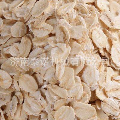 内蒙古燕麦片生产机器即食燕麦脆片加工设备麦片制作机械厂家