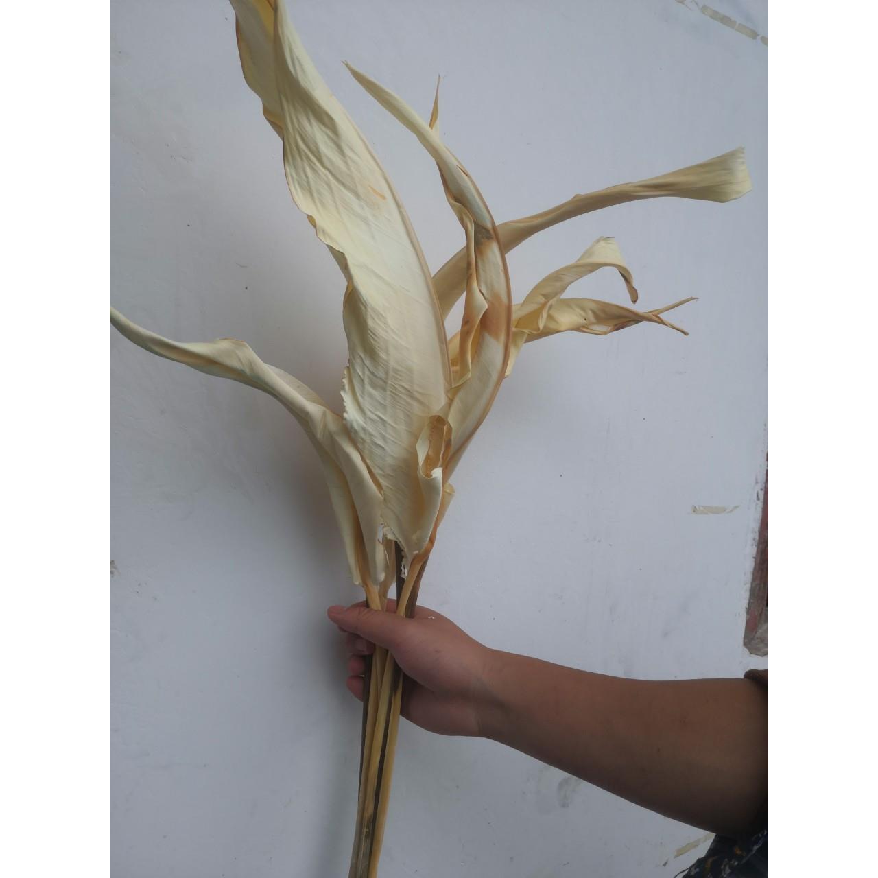小鸟叶干花漂白婚礼花艺拍照道具空间美陈橱窗设计