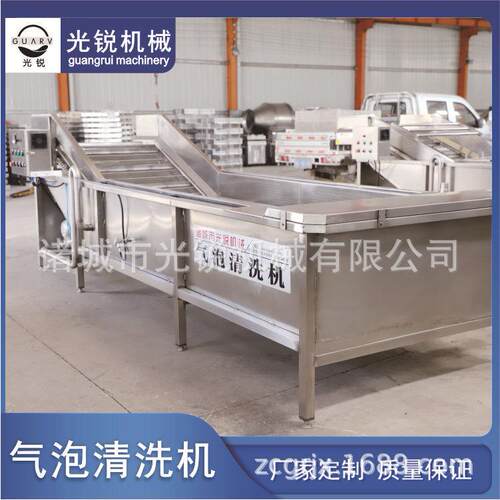 全自动水果蔬菜气泡清洗机大姜清洗机竹笋漂烫机小龙虾清洗机