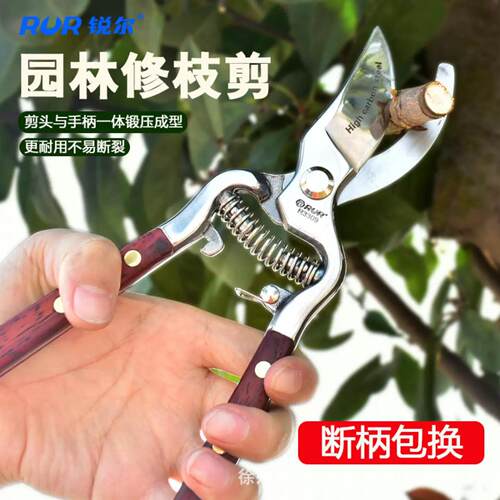 枝条修剪刀剪枝条剪树枝剪园艺盆艺剪刀花木粗枝剪省力园林剪工具
