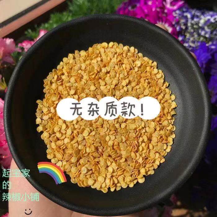 生干辣椒籽辣椒子干净起宝家网红炒制不辣的辣椒仔优质食用无杂质