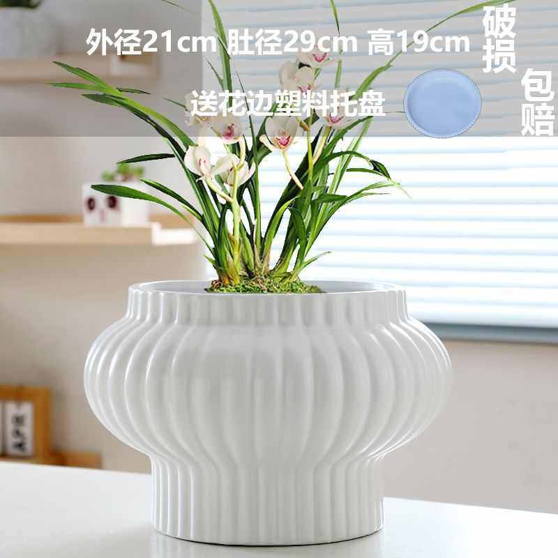 超大号花盆陶瓷大口径家用个性灯笼造型蝴蝶兰绿萝吊兰多肉花盆