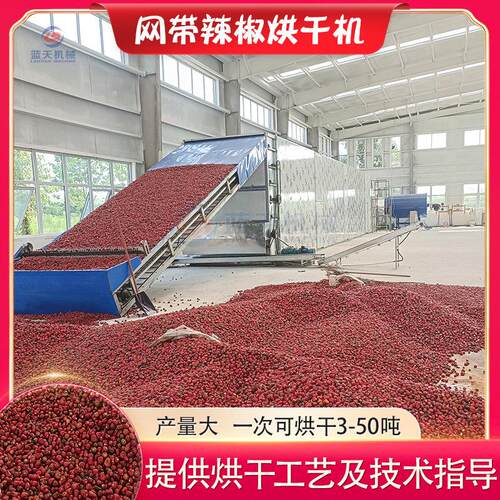 全自动辣椒烘干 干机大型二荆条烘烤机网带工业红辣椒烘干 干磨粉