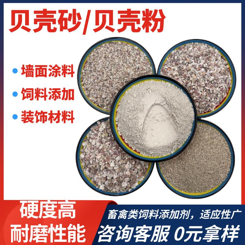 地坪骨料贝壳片 造景贝壳沙铺底滤料用彩色贝壳砂家禽宠物补钙沙