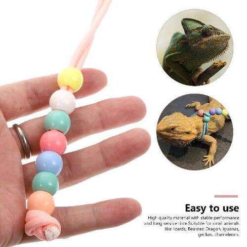 Bearded Dragon Walking Leash Lizard Hamster Adjustable Rope