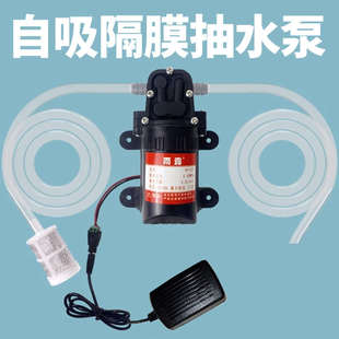 家用隔膜泵电动吸水净水机直流12V小型自吸泵抽水泵净水器