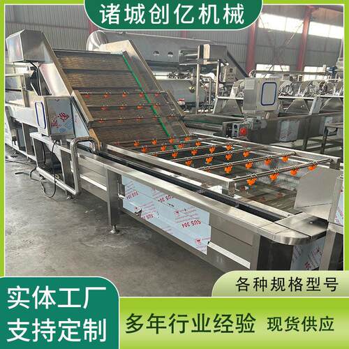 橘子清洗机多功能粑粑柑清洗设备杨梅清洗提升机