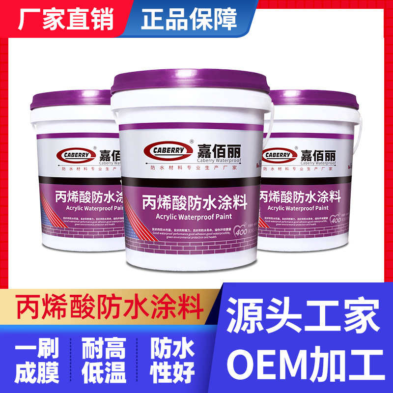 专业可出口CABERRY 水泥基屋面屋顶防水 墙面和地面外墙防水涂料
