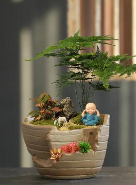创意花盆家用客厅阳台陶瓷蝴蝶兰文竹菖蒲大口径盆景盆栽多肉拼盘