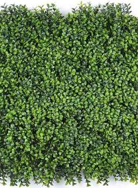 仿真植物墙米兰草坪绿墙户外装饰立植体物垂直绿STCP002.化物墙假