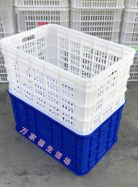 大型塑料框架储存货物箱篮子长方形加厚蓝白快递箱剪出篮子塑料篮