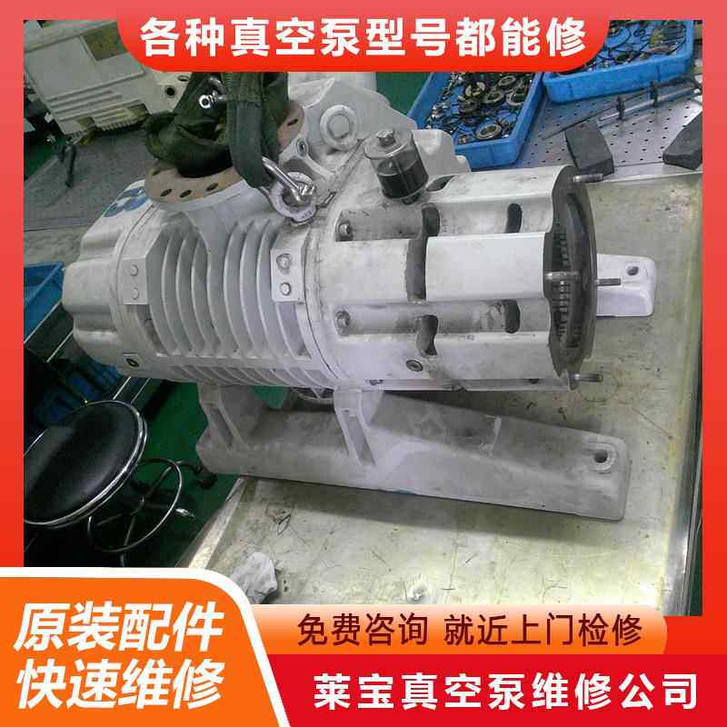 莱宝罗茨泵修WA业U201专Leyb维old真空泵服务中282心处理0漏油卡