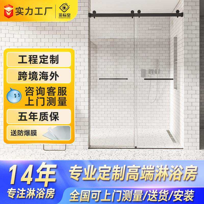 一字型整体淋浴房卫生间干湿分离浴屏玻璃双移门隔断浴室推拉门