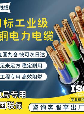 国标 电力电缆铜芯YJV 2 3 4 5芯10平方25室外ZR动力电缆纯铜电线