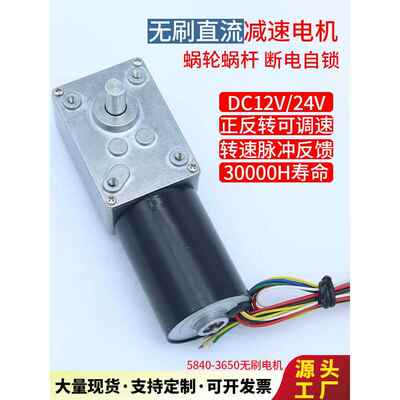 5840-3650蜗轮蜗杆无刷直流减速电机可调速微型大扭力12V24v马达