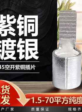 C45紫铜空开 插片接线 线端子空气开 关冷压铜线 线鼻子小黑夹线