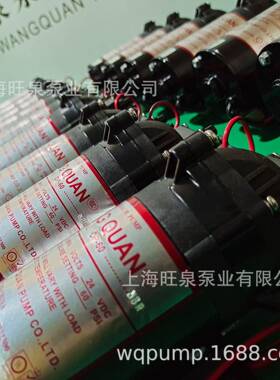 上海旺泉12VDC/24VDC/220VAC-DP-60微型隔膜泵、丁腈橡胶隔膜泵