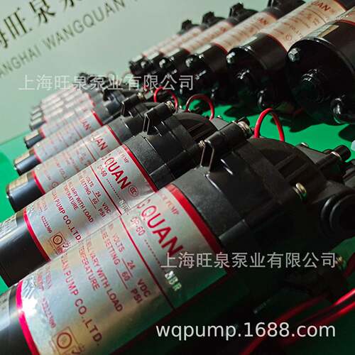 上海旺泉12VDC/24VDC/220VAC-DP-60微型隔膜泵、丁腈橡胶隔膜泵