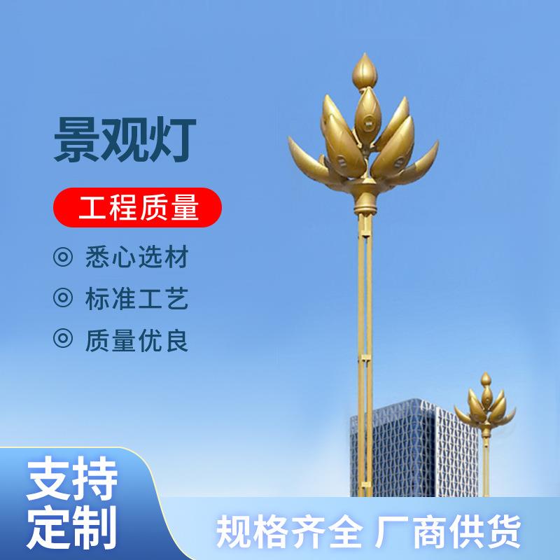 10米12米LED中华灯园林景观路灯高亮模组光源玉兰灯庭院