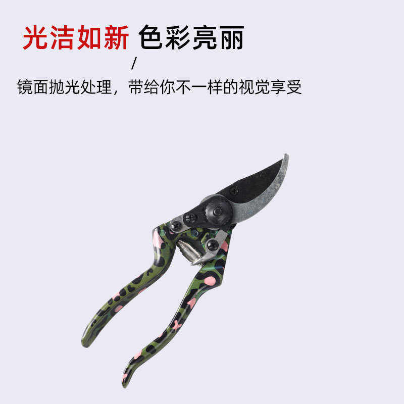 肉铲子种植园林用品工具养花套装植物园艺工具组合工具多盆栽园艺,鲜花速递/花卉仿真/绿植园艺,其它园艺用品,淘宝优惠券,粉丝福利购,淘宝优惠卷