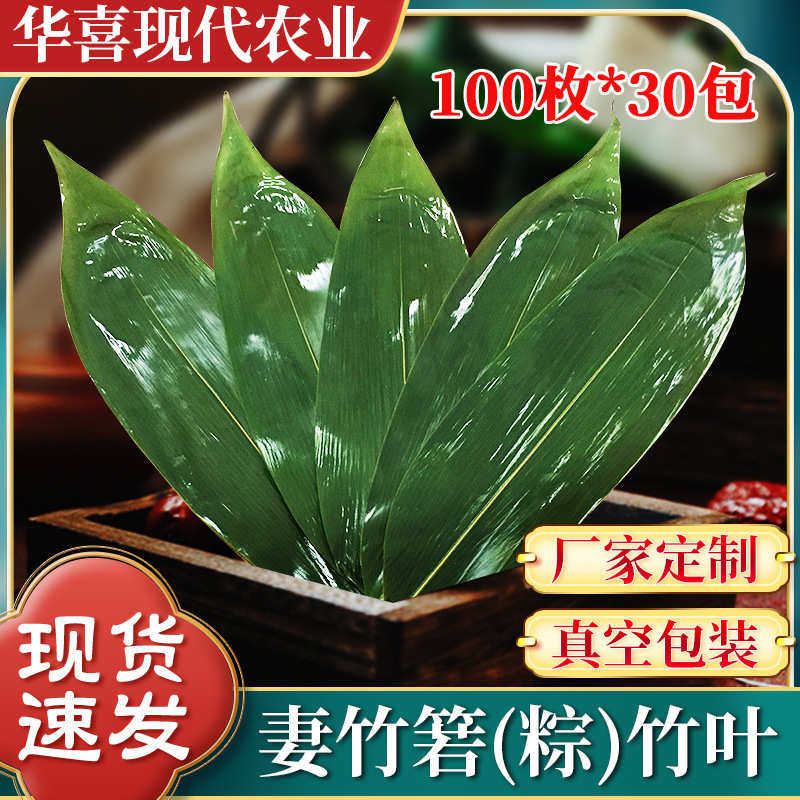 厂家粽批发盘粽)餐厅(子叶恩施装饰箬新鲜发妻竹批竹叶真空包装摆