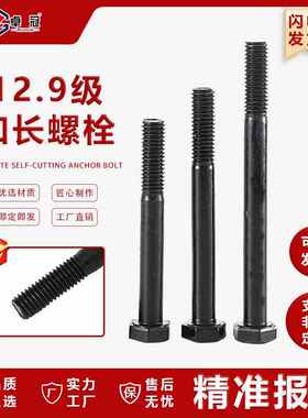 特大六角.级螺栓头高强度12m48m52m56m76m100特长外螺栓螺钉9