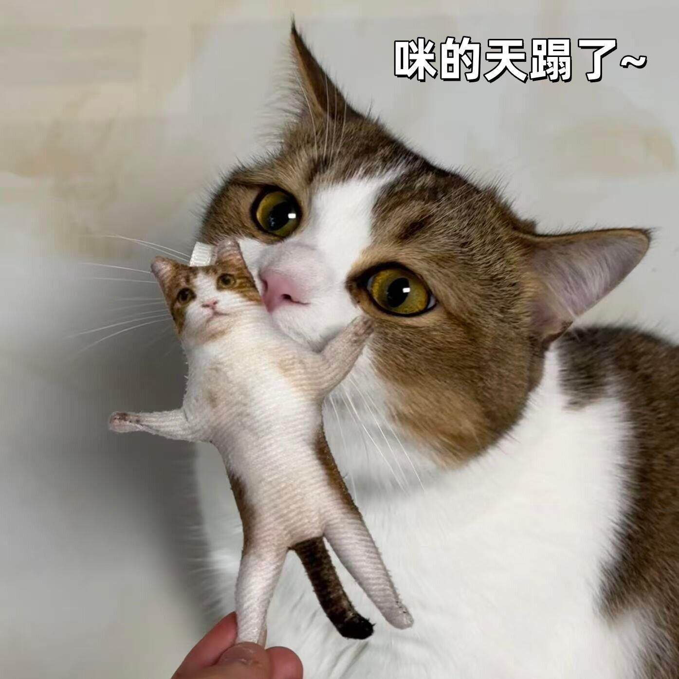 猫咪老鼠干定制挂件趣味搞怪乳鼠干送闺蜜带骨架宠物钥匙扣小礼物