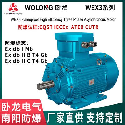 卧龙WEX3防爆电机 适用于IIB级IIC级危险环境 防爆合格证 支持出