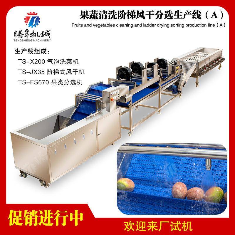 净菜加工成套生产线厂家直销果蔬生产线大型风干机生产线定