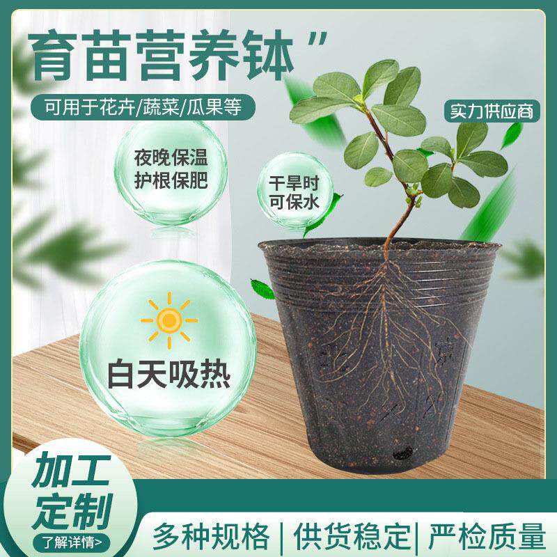 塑料营养杯育苗杯 家庭植物营养杯黑色加厚园艺花卉营养钵