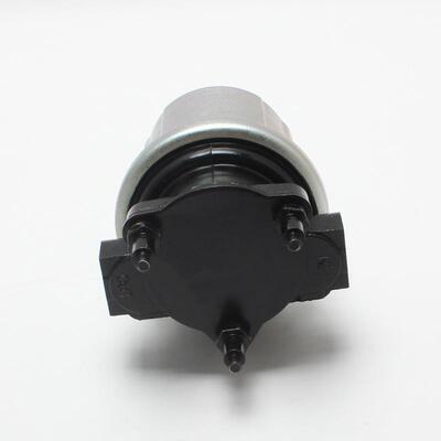 FE0539 SP8117 4020508 P4600HP 柴油泵12v