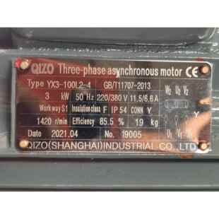 43KW奇卓电机 YE3100L2 QIZO 奇卓电机