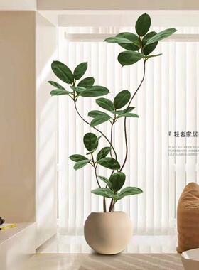 绿叶橡皮树彷真绿色植物造景客厅彷生假植物室内装饰大型盆栽落地
