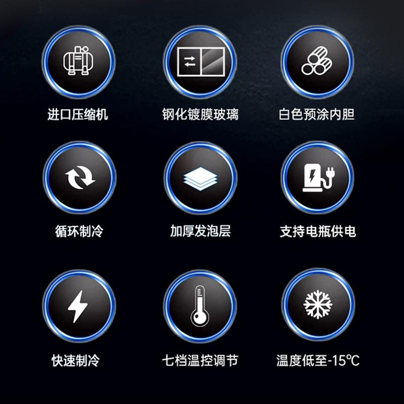 莞雪冰柜移动摆摊冷藏展示柜烧烤炸串小型冷冻保鲜卧式三轮车冰箱