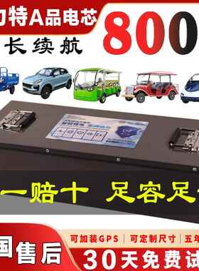 电动三轮车电瓶72v三元48V60v宁德时代大容量磷酸铁锂四轮车电池