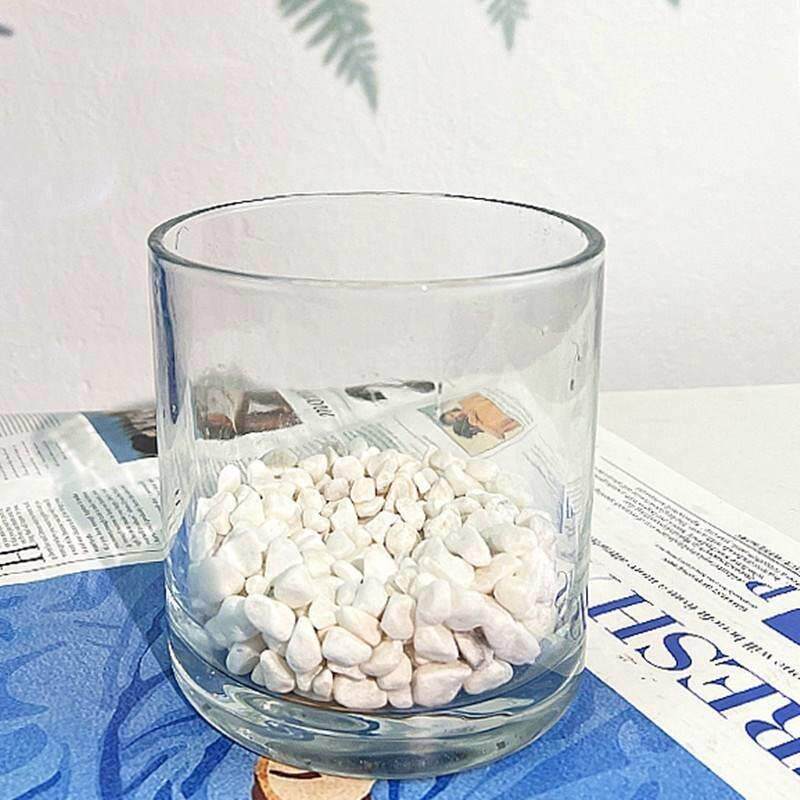 绿萝白掌红掌玻璃方缸小型鱼缸 花瓶摆件客厅 花瓶玻璃水养花瓶