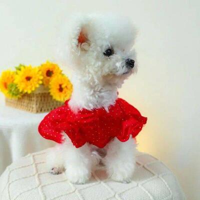 Comfortable Experience Pet Clothing Bow Decoration Pet