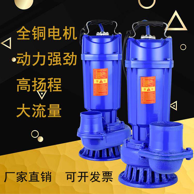 特价家用潜水泵小型微型抽水泵高扬程井用水泵农用船用抽水机220V