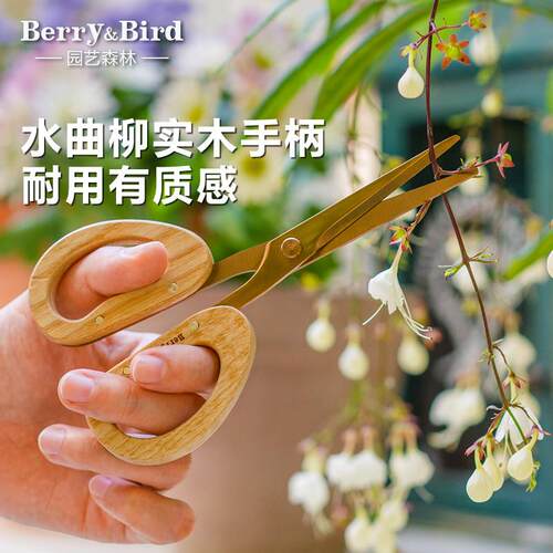Berry&Bird园艺草花剪不锈钢实木柄盆栽修枝花艺剪刀插花工具家用