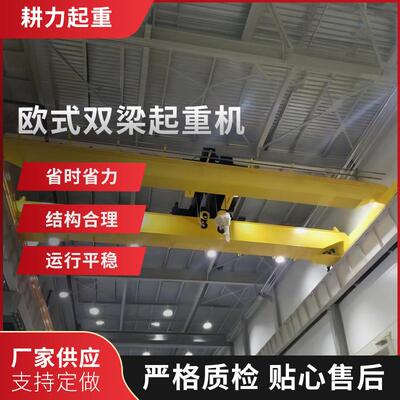上海欧式双梁起重机欧式桥式双梁起重机轻量化双梁起重机供应