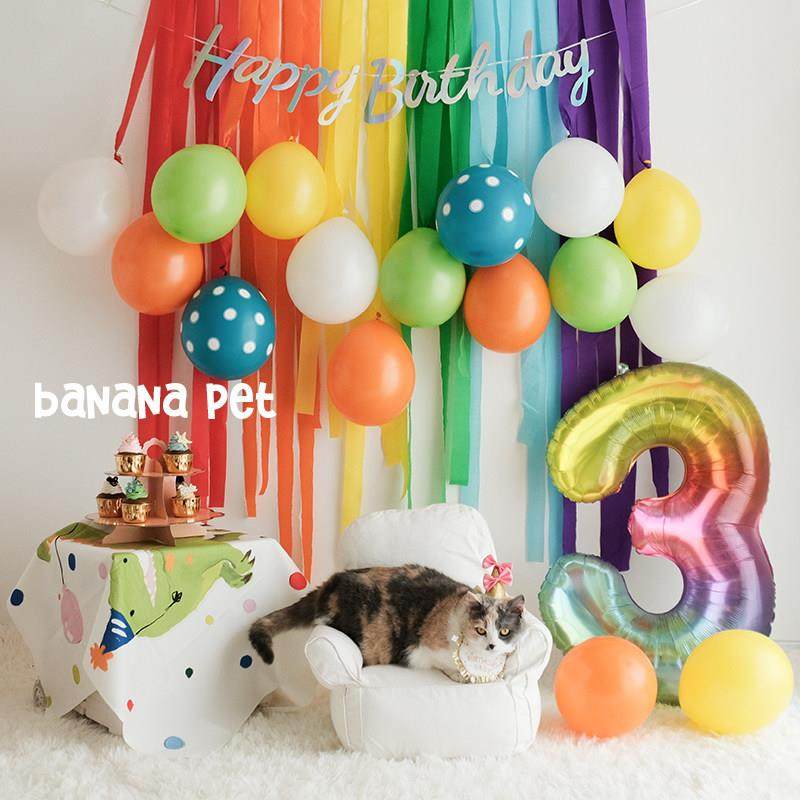 宠物生日派对小红书同款彩色生日背景气球墙野餐挂布布置拍照道具,节庆用品/礼品,节日装扮用品,淘宝优惠券,粉丝福利购,淘宝优惠卷