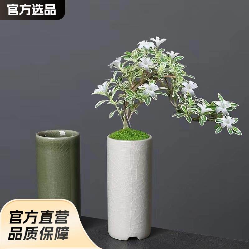 小直筒冰裂釉迷你花盆多肉绿植竹柏酒店花器创意陶瓷桌面盆栽有孔