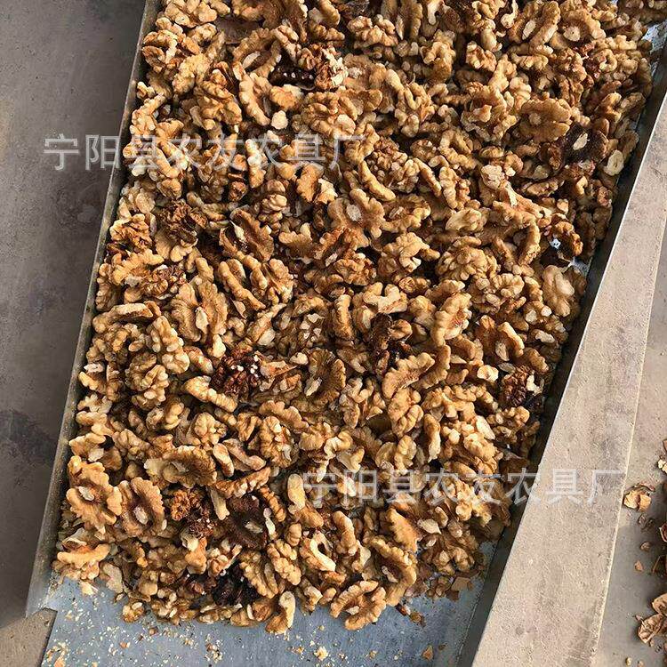 核桃去皮机青皮脱壳机核桃仁破壳机家用电动坚果剥壳机