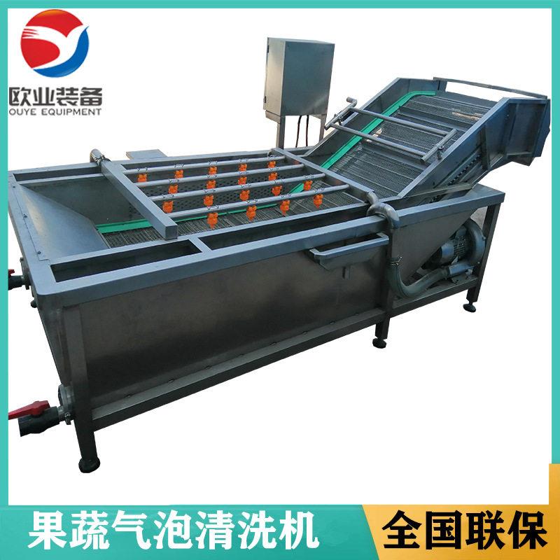 琵琶果蔬清洗机樱桃山梨果蔬气泡清洗机果蔬油菜气泡清洗机厂家