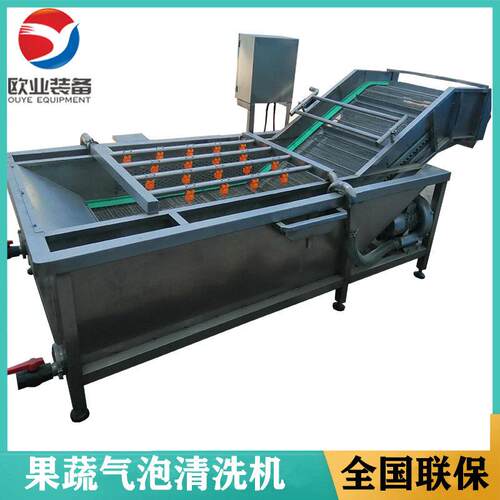 琵琶果蔬清洗机樱桃山梨果蔬气泡清洗机果蔬油菜气泡清洗机厂家