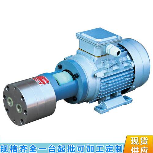 小流量微型不锈钢齿轮泵电机组CB-BNS1JZ04齿轮定制塑料齿轮泵