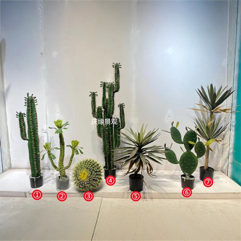 仿真仙人掌系列植物堆景仙人球仙人柱热带植物落地摆件橱窗造景